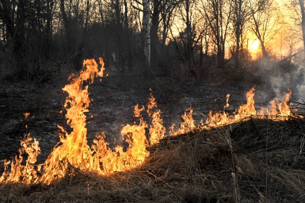 Po državi danes našteli več kot 20 požarov v naravi