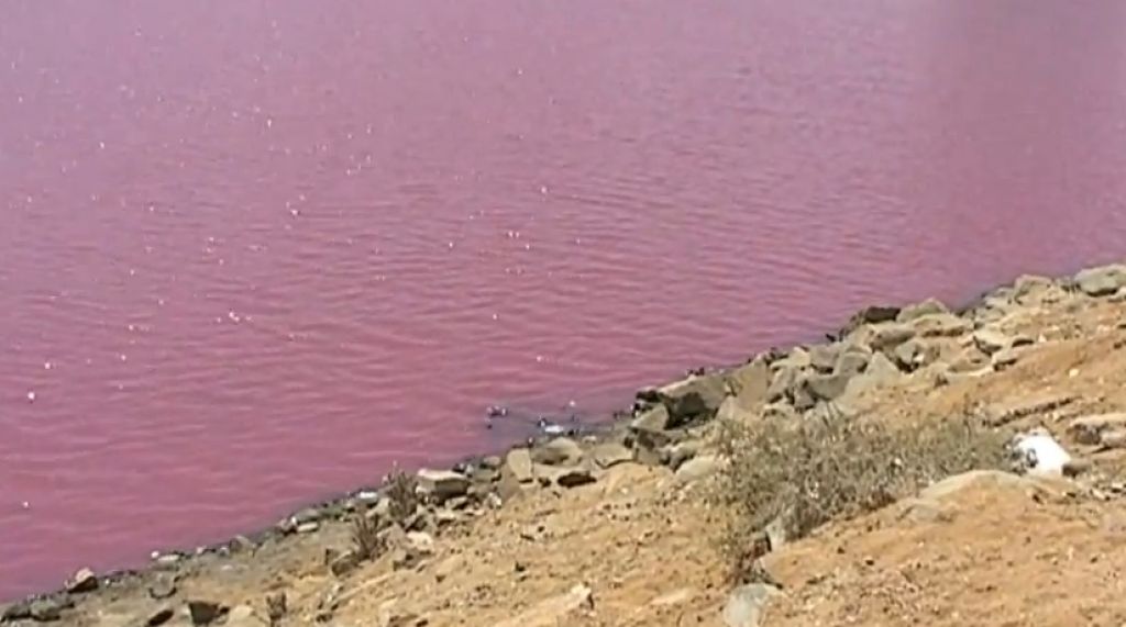 VIDEO: V jezeru krvi je kar 40 odstotkov soli