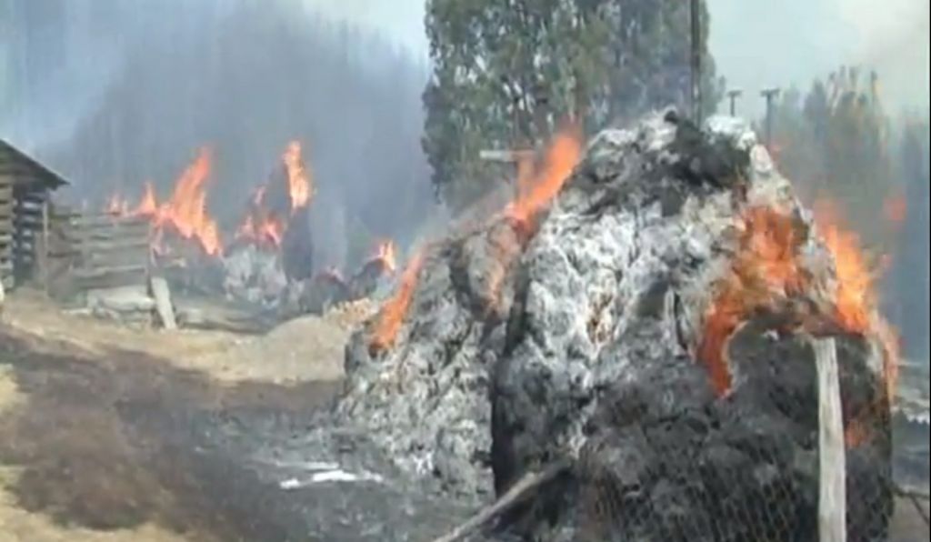 VIDEO: Zaradi požara pri Čačku evakuirali več vasi