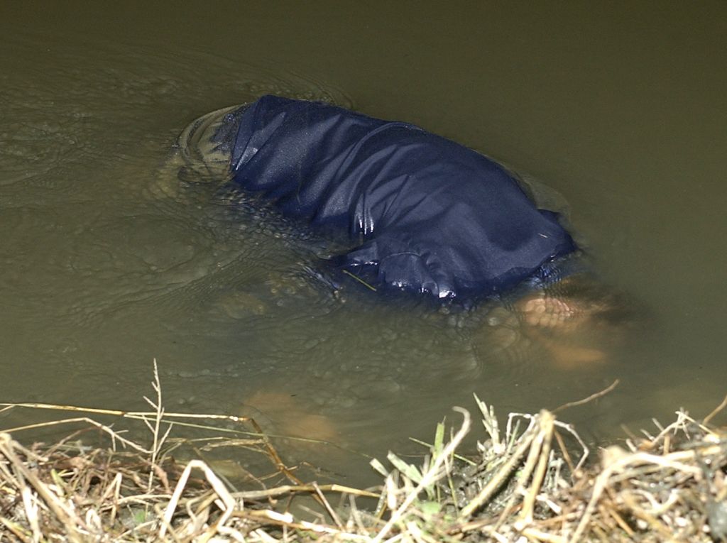 Potrjeno: v potoku našli žensko truplo
