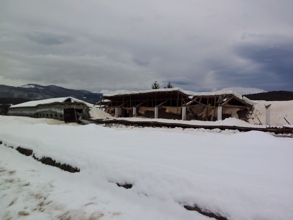 FOTO: Težak sneg sesul streho piščančje farme