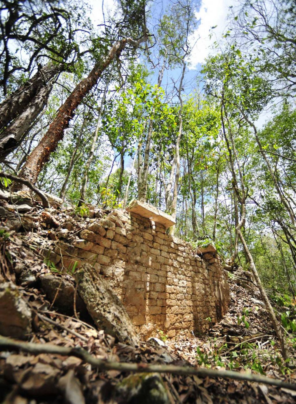 FOTO in VIDEO: Slovenec odkril starodavno majevsko mesto