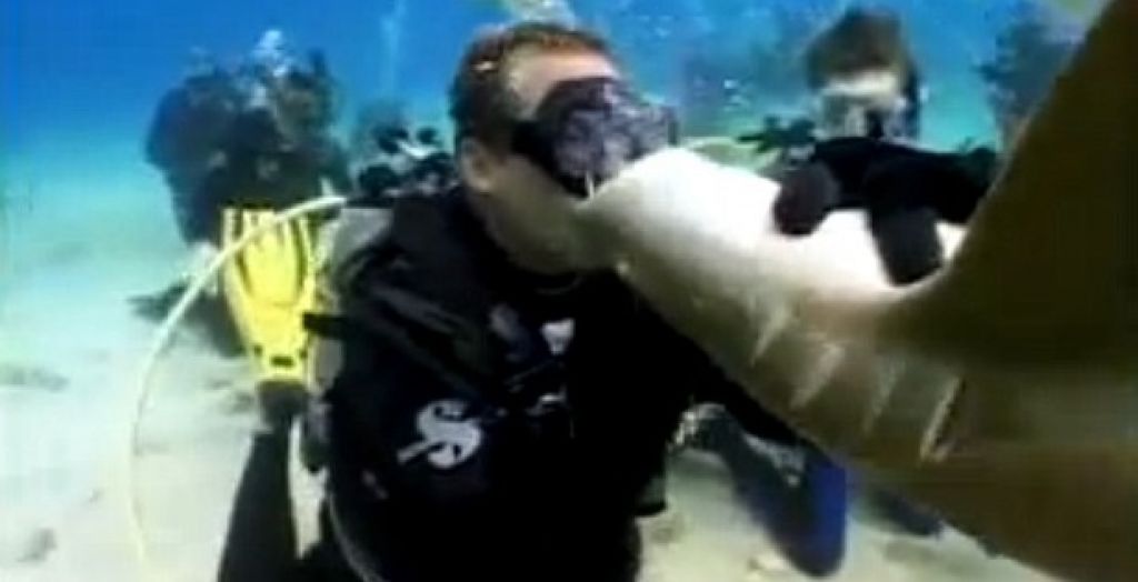VIDEO: Morski pes potapljaču poljub poplačal z ugrizom