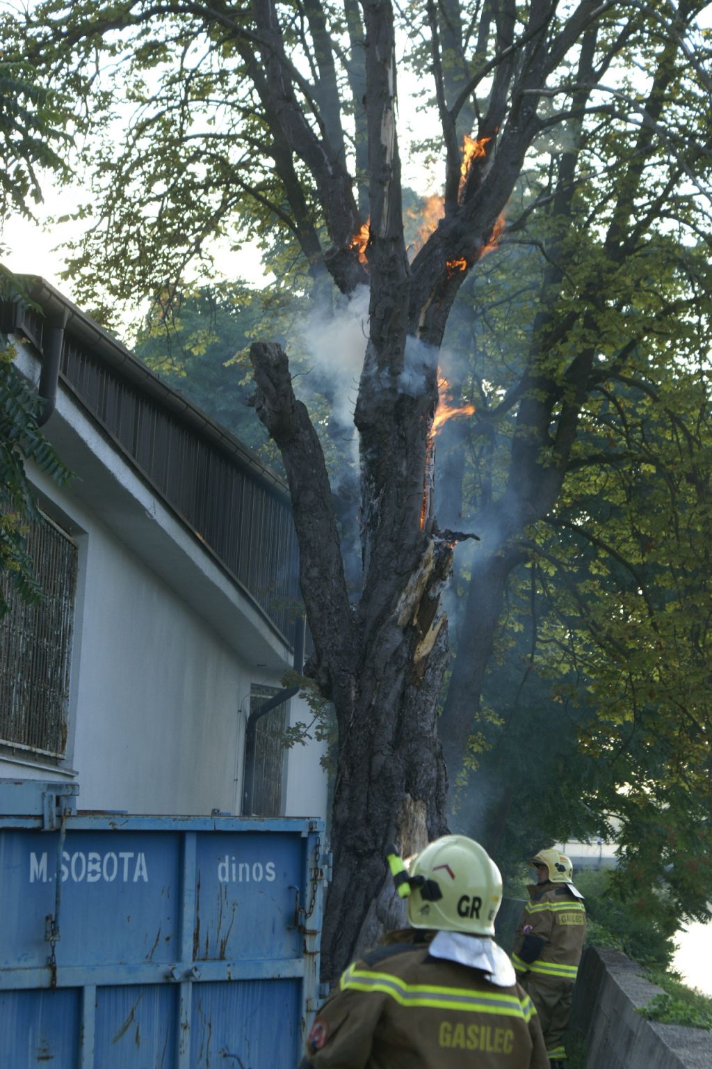 FOTO: Nad Muro je gorelo drevo