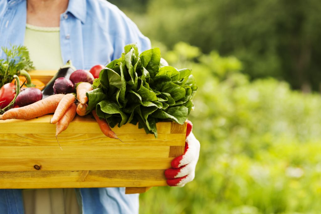 Koliko lahko  prihranimo pri sadju in zelenjavi?