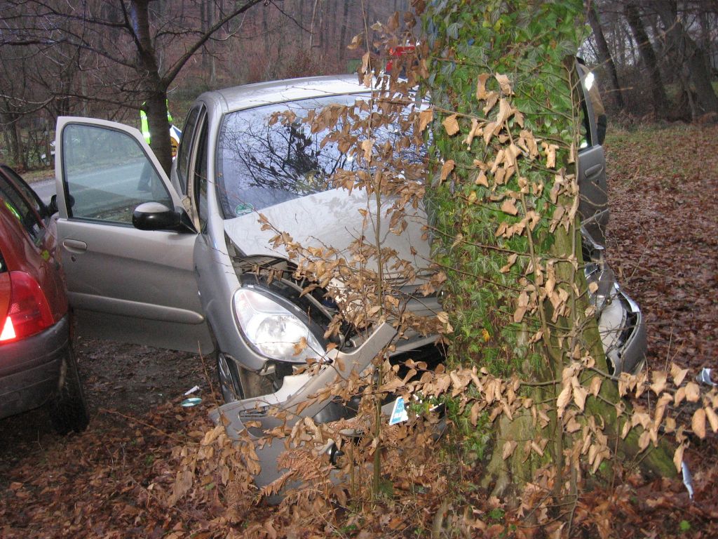Z avtom v drevo, trije poškodovani