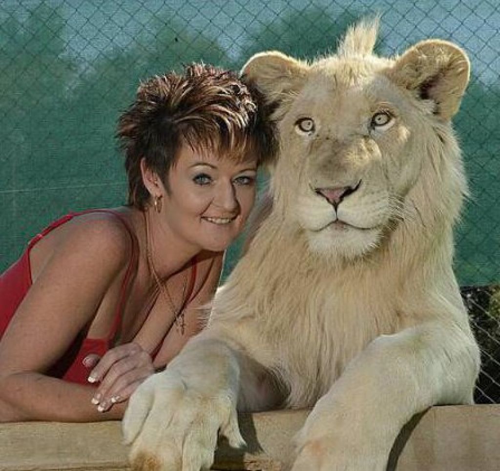 Annelina hišna muca  je 120-kilogramski beli lev