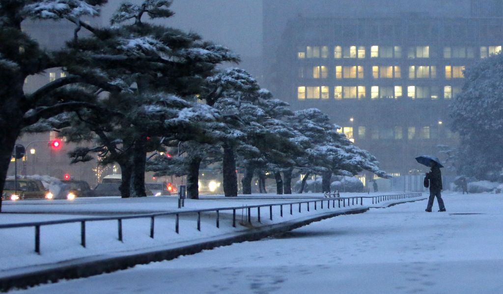 FOTO: Sneg ohromil življenje in promet