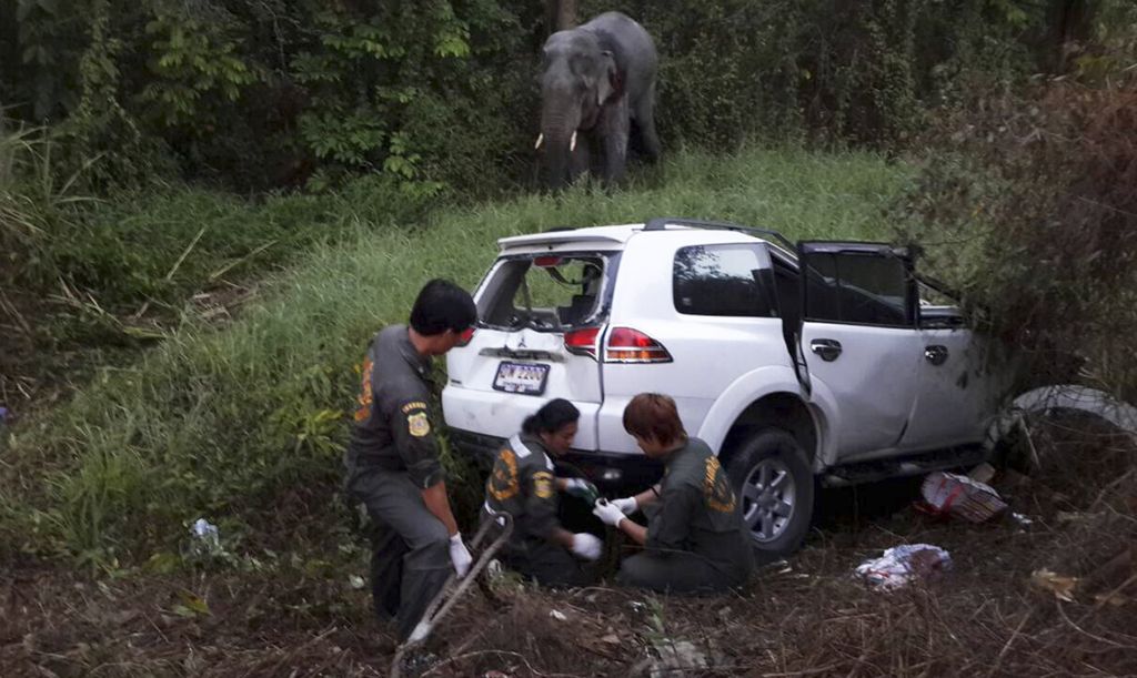 V nesreči umrlo šest ljudi in slon