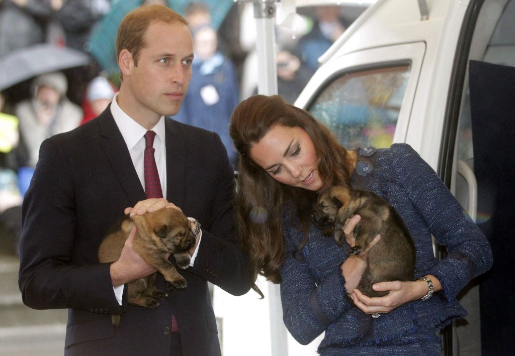 FOTO: Princa odložila in v roke vzela psa
