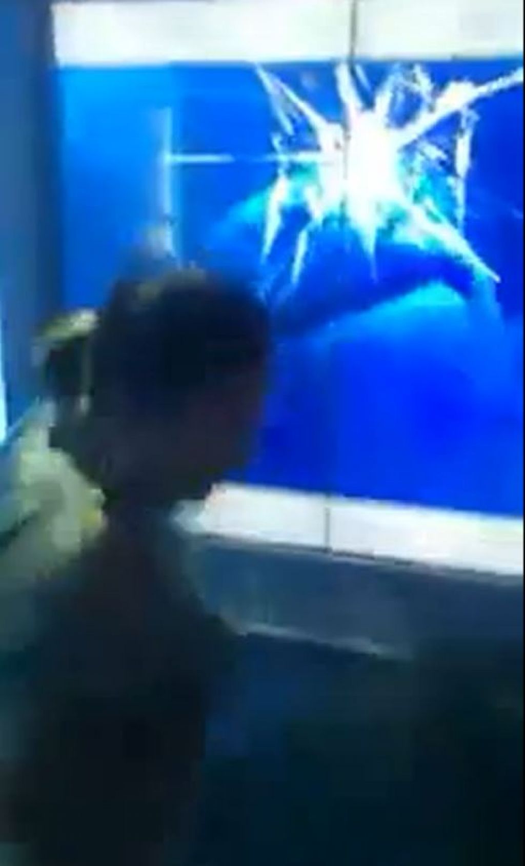 VIDEO: Morskega psa ne draži, četudi je v akvariju