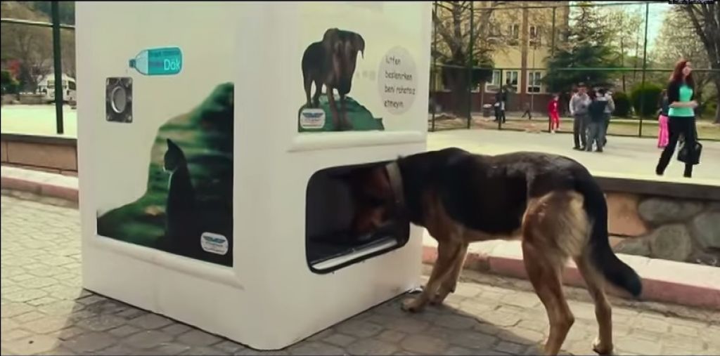 VIDEO: Noter plastenka, ven pasja hrana