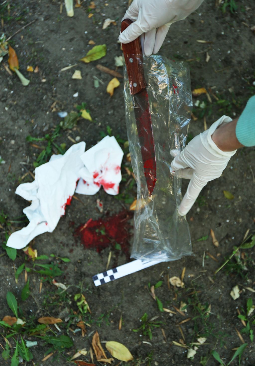 Krvava šola: Učili so nas, kako z nožem odrezati glavo