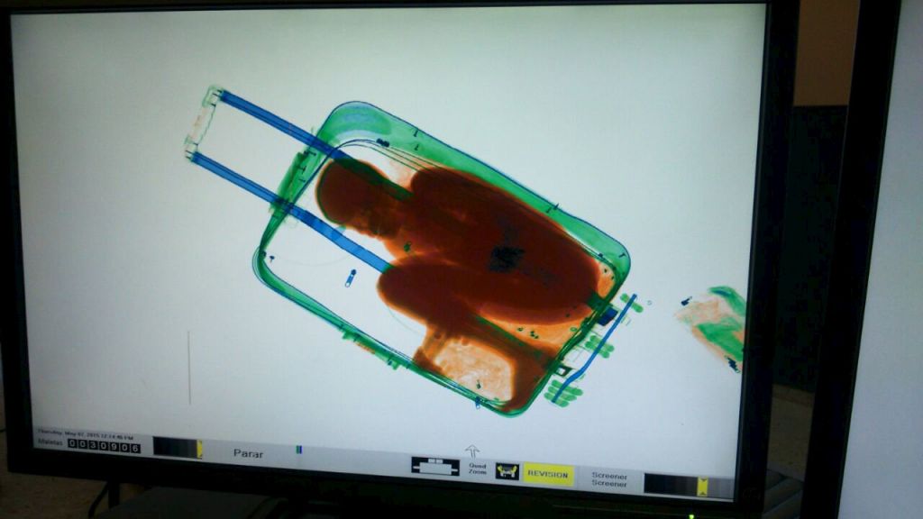 FOTO: V kovčku je tihotapila osemletnega dečka
