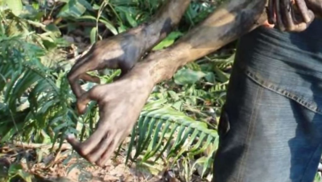 VIDEO: To bitje so našli v Amazoniji. Je sploh z Zemlje?