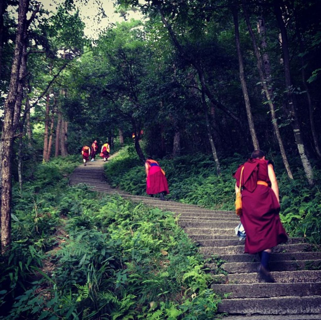 Budistični menih navdušil na instagramu
