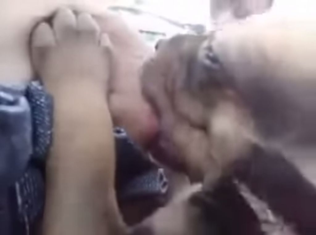 VIDEO: Neverjetno: ženska podojila psa