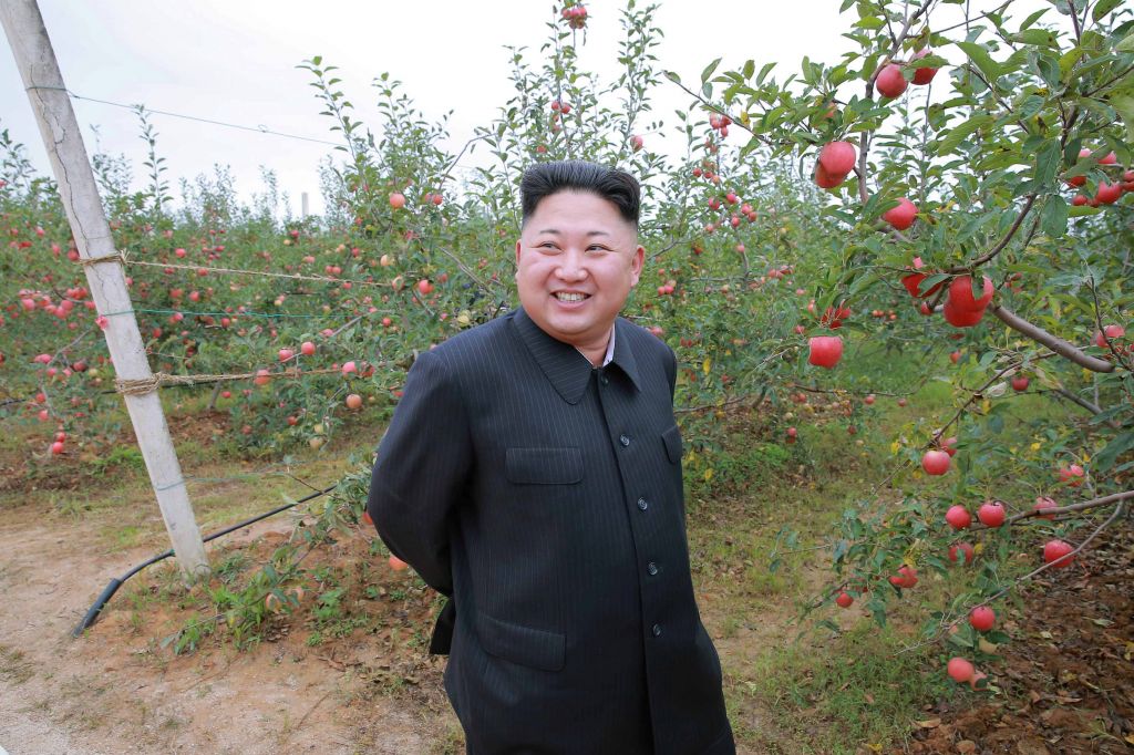 Južna Koreja ima načrt: so Kim Džong Unu šteti dnevi?