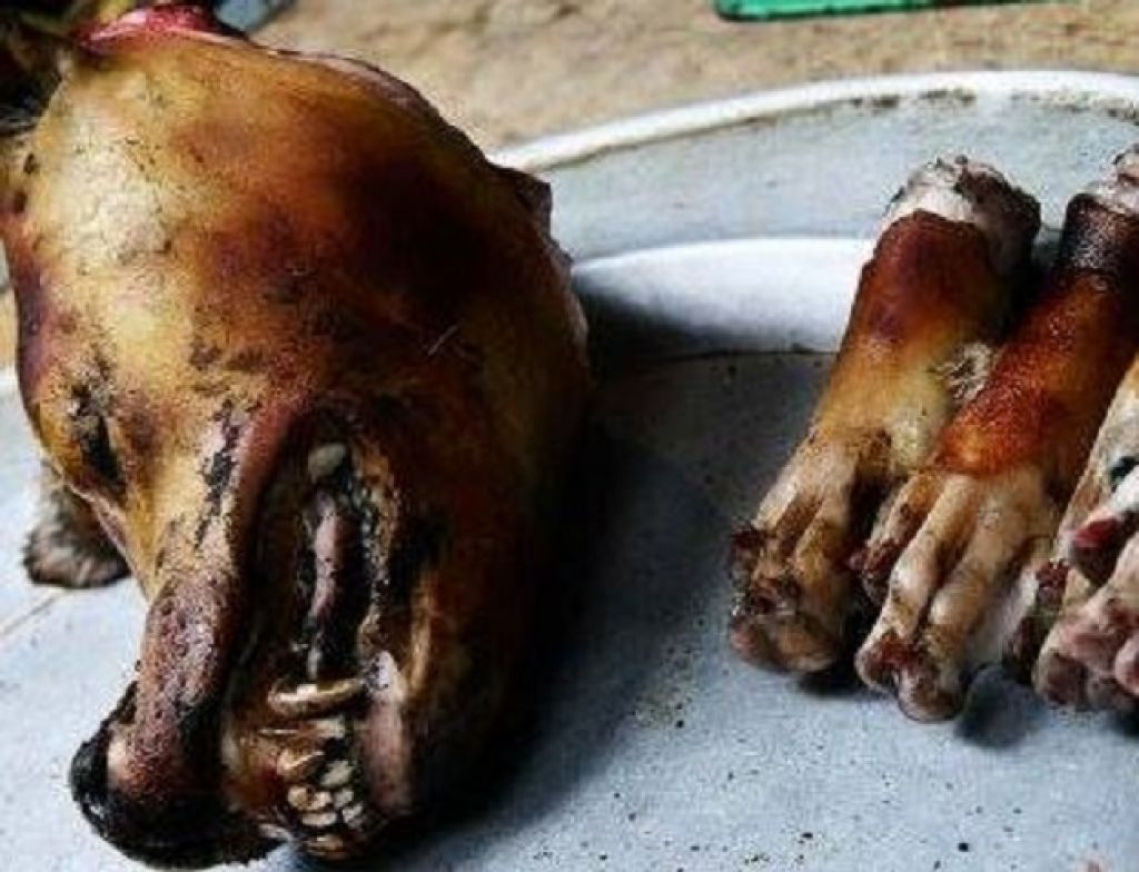 FOTO: Šok v Leskovcu: Za božič pečeni pes, svinjina mi ne odgovarja