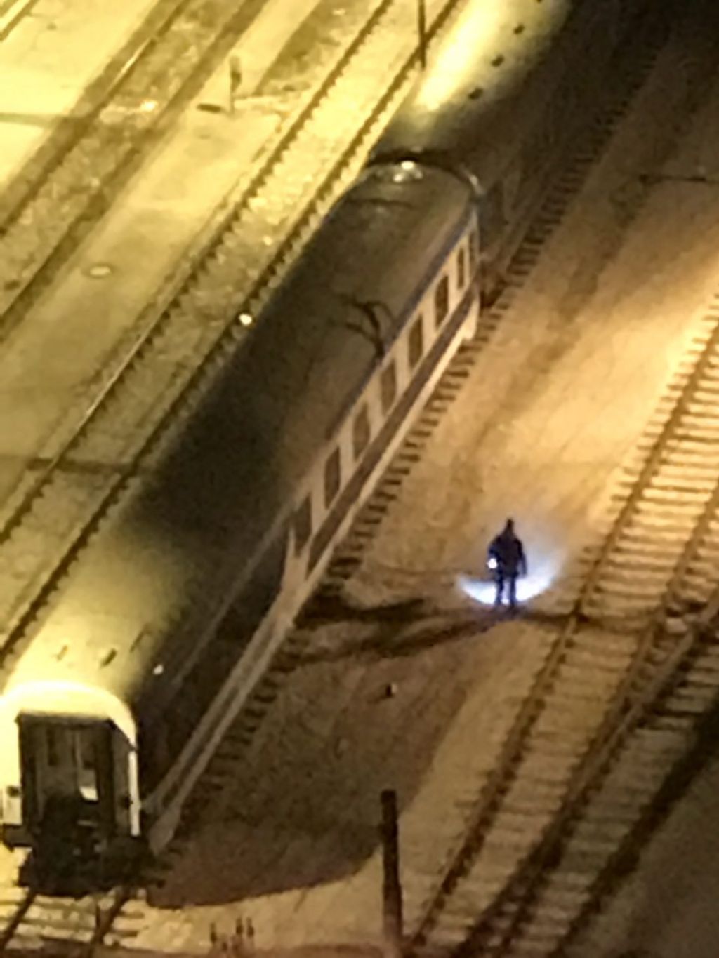 FOTO: Policisti ponoči s psi med vlake