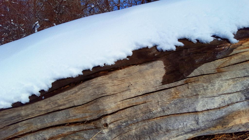 FOTO: Sneg do nižin! Uganete, kje?