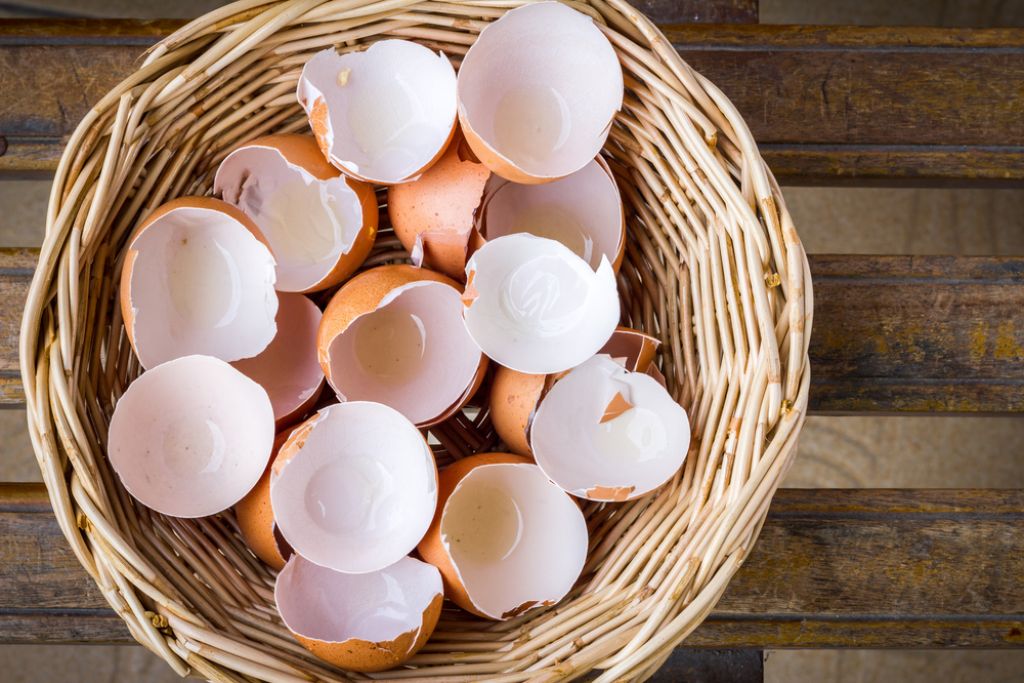Šest idej, kako lahko uporabite jajčne lupine