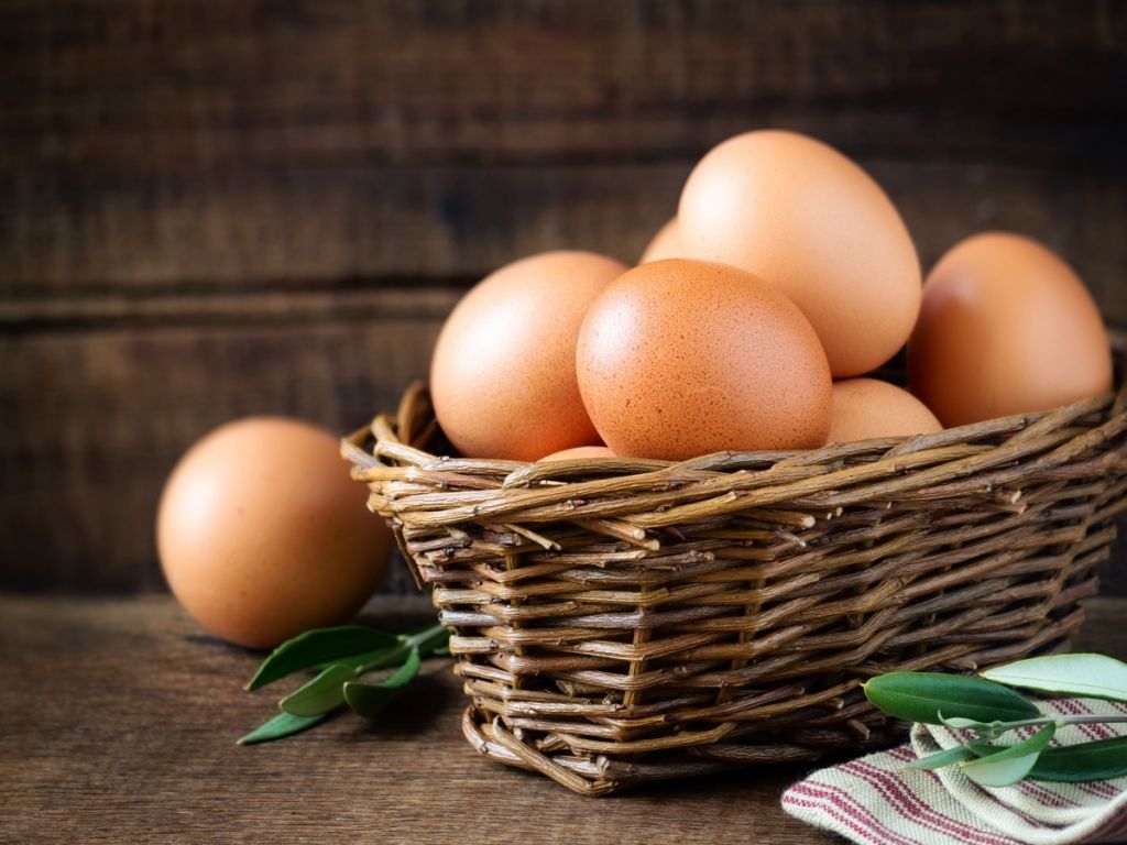 Slovenska jajca še nevarna? To pravi uprava za varno hrano