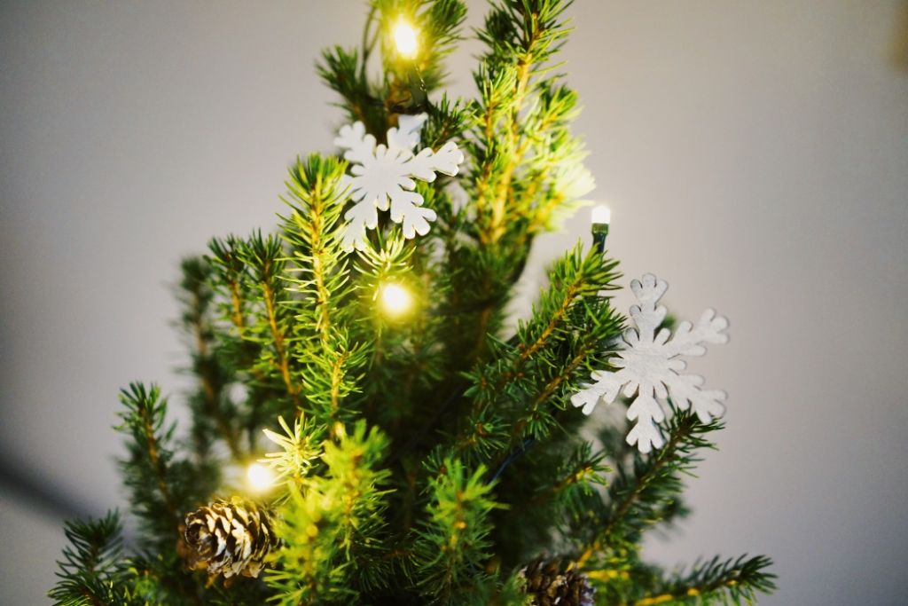 FOTO: Božična drevesca, za katera je povsod prostor 