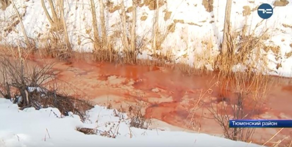 VIDEO: Krvava reka straši: gre za strupene kemikalije?