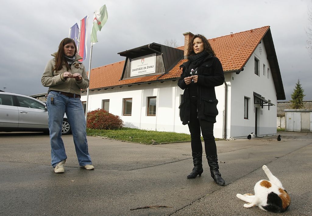 Slovenski prostovoljci med krdeli lačnih psov