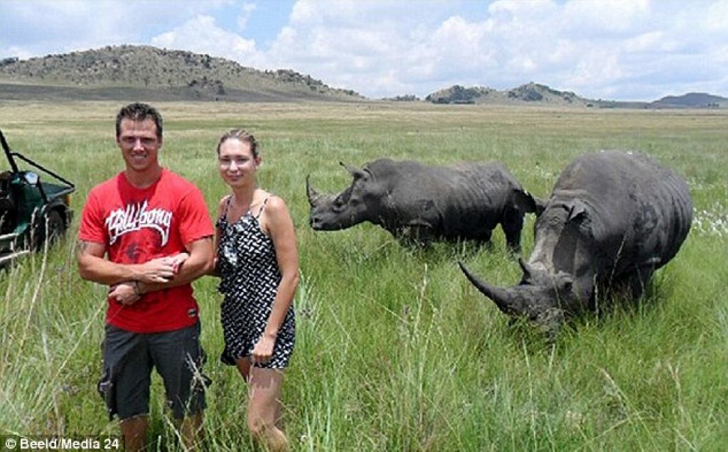 Po fotografiranju ji je nosorog predrl prsni koš