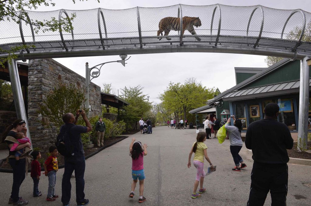 Zoo tudi za živali, ne le za ljudi