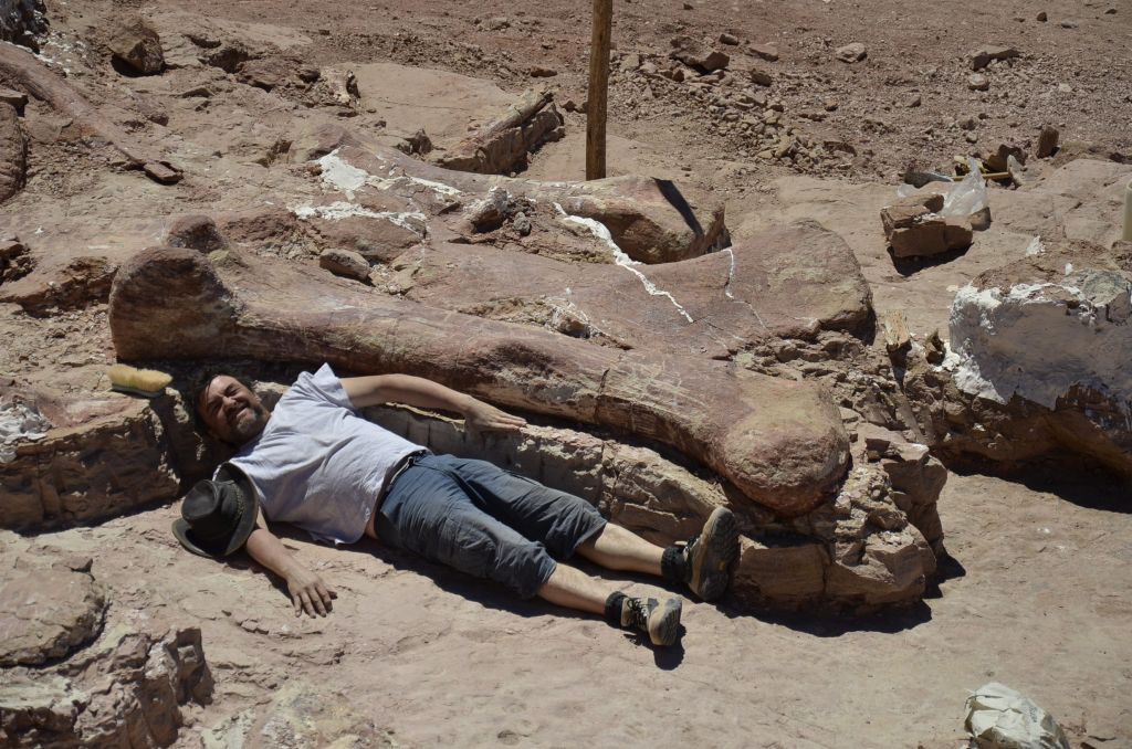 V Argentini izkopali največjega dinozavra