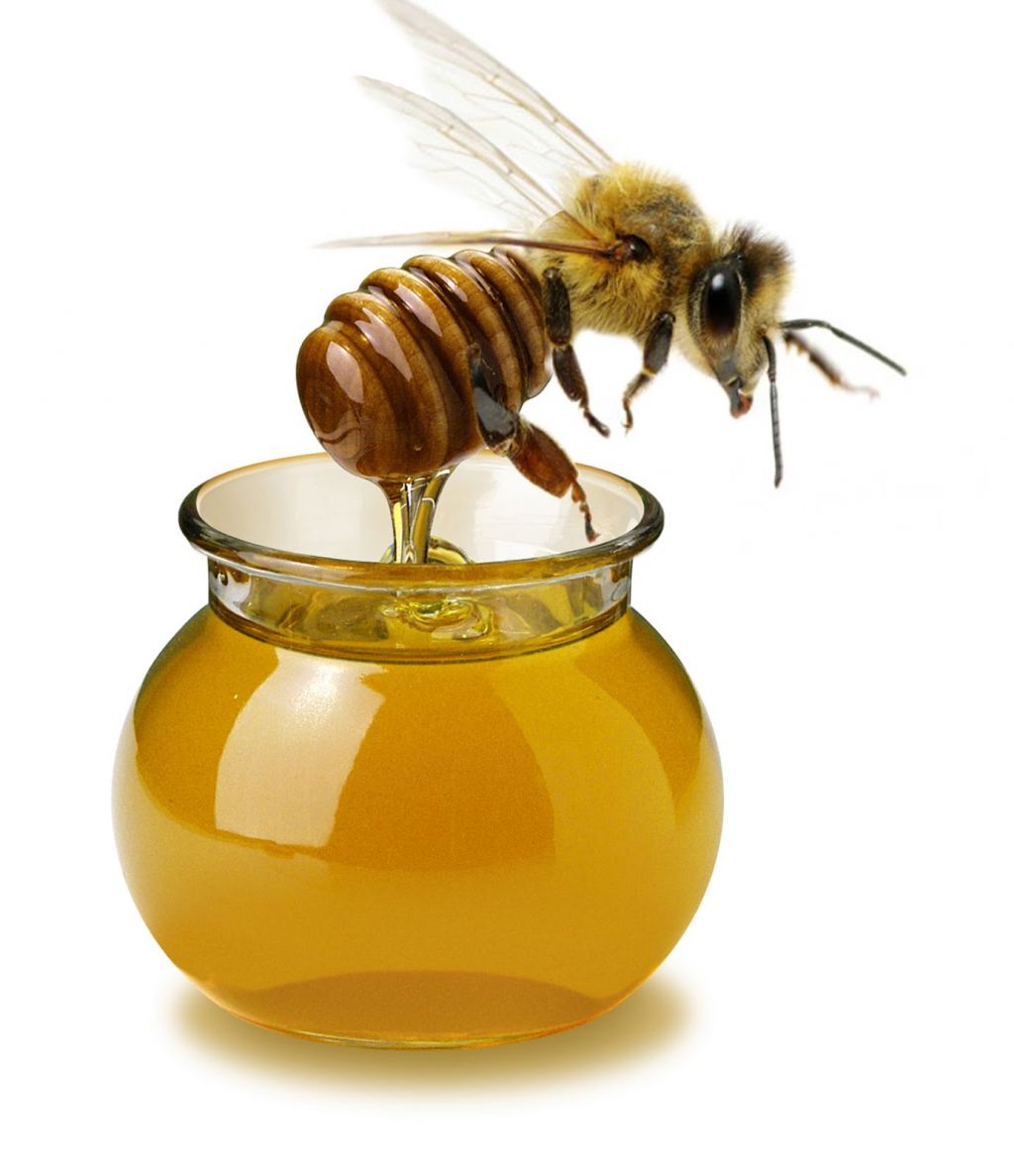 Zdravila iz sveta čebel