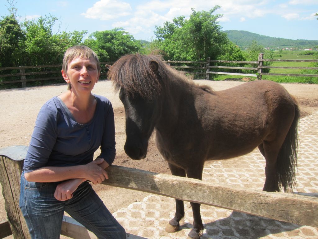Veseljak, najstarejši konj na Slovenskem