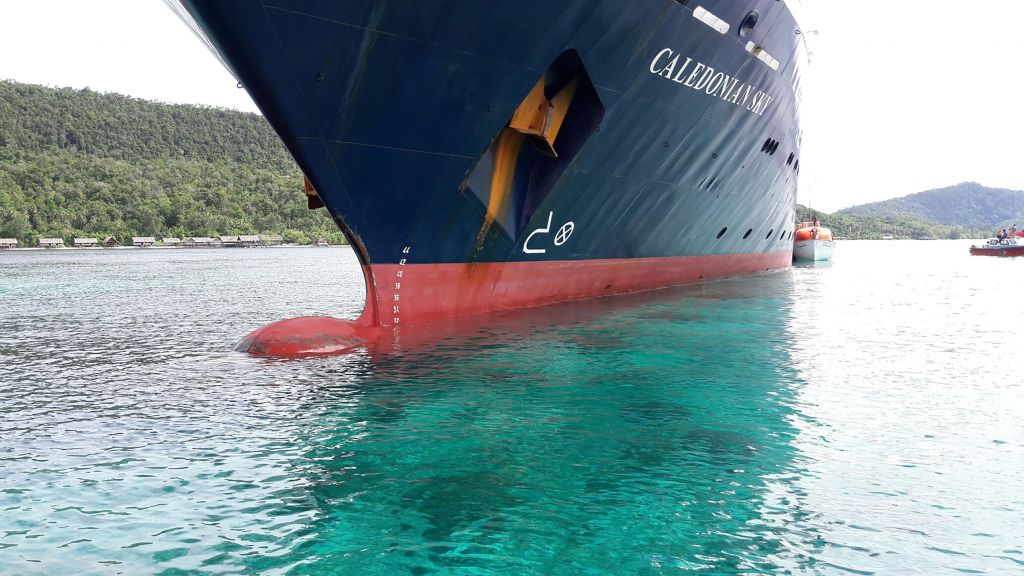 Kapitan uničil koralni greben