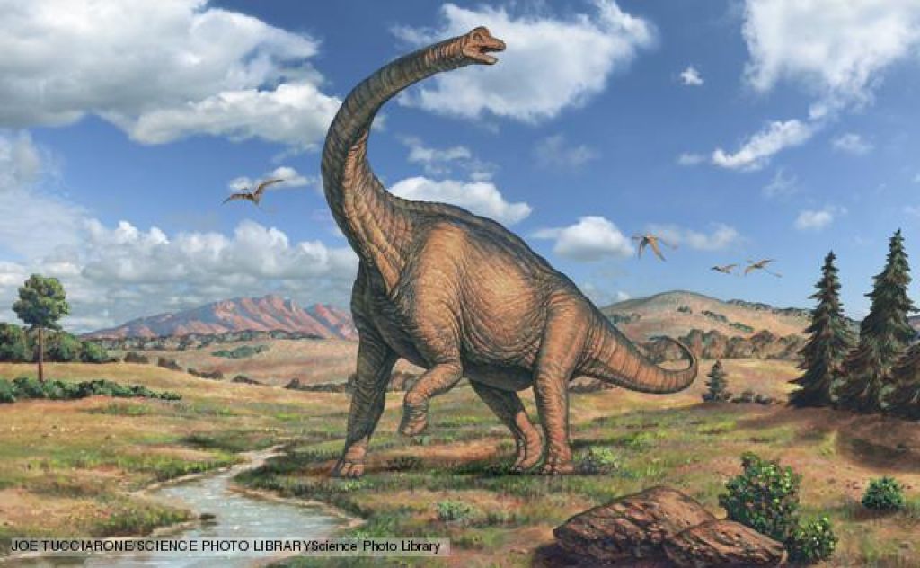 FOTO: Odkrili največji odtis dinozavrove noge