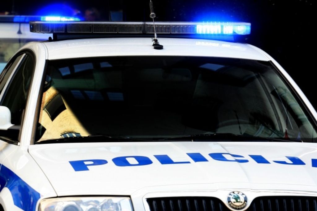 Policijski megaulov: zaseg avta, konoplje in ukradenih kipcev