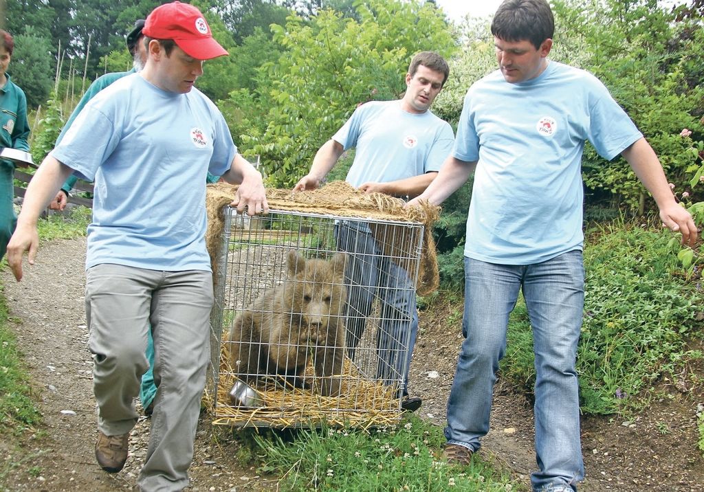 Srečko v objemu romunske medvedke