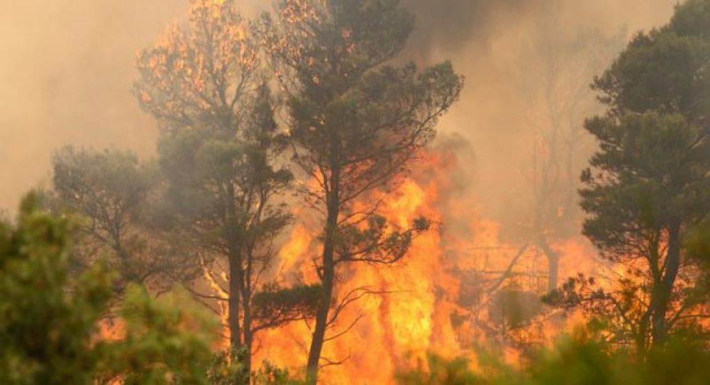 Na Braču pogorelo že 4000 hektarjev, turisti evakuirani