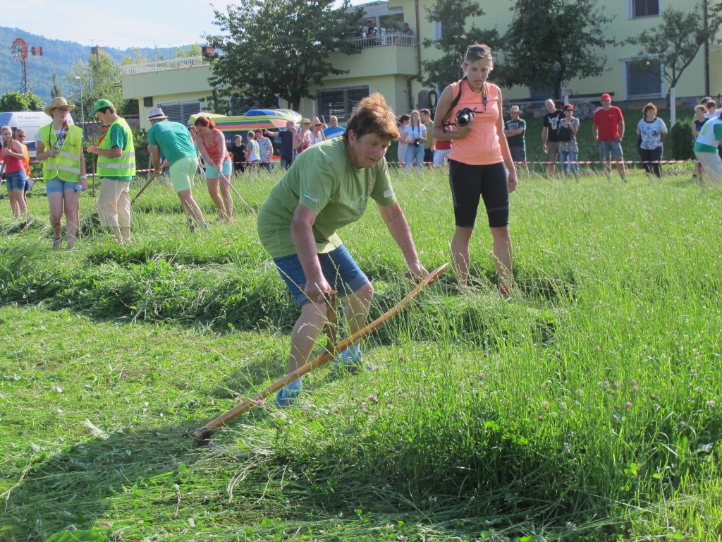 FOTO: Slovenci že avgusta nad švicarsko travo