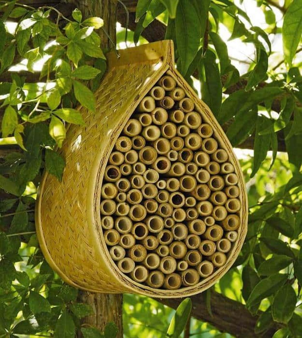 Brez čebel ni pravega vrta