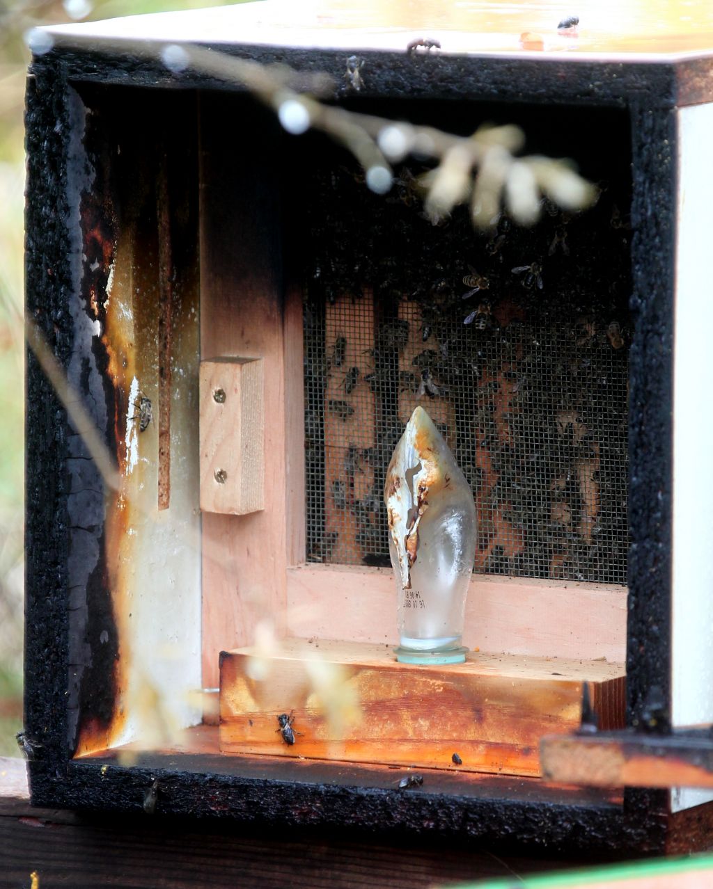Čebelnjak zažgal požigalec ali čebelar?