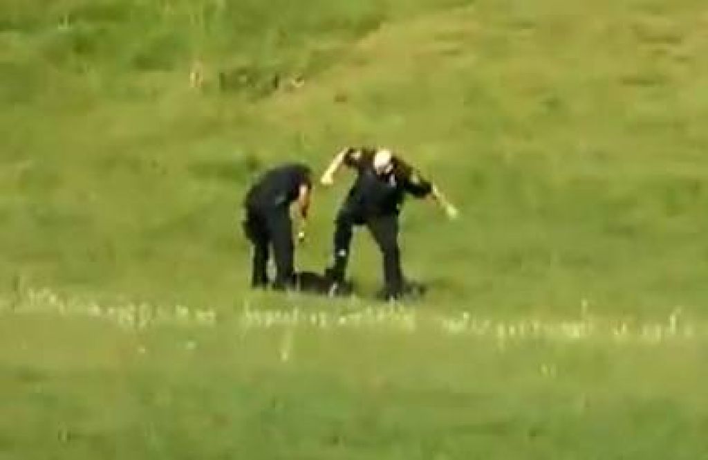 VIDEO: Policisti kot psa brcali negibnega moškega